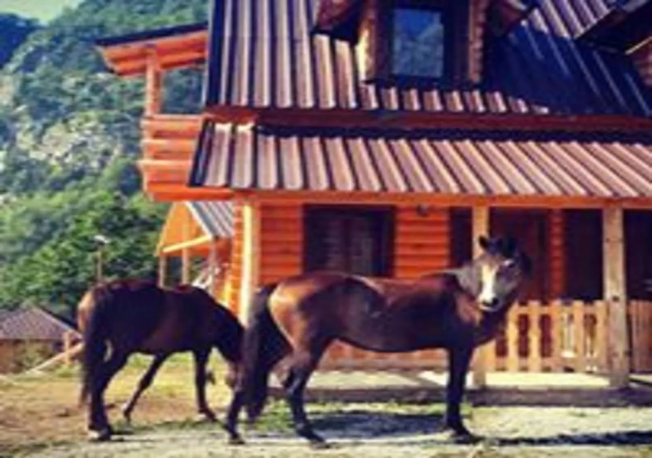 Farm stay Thethi Paradise Hotel & Restaurant
