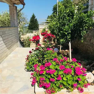 Apartment Vila Milo, Vuno